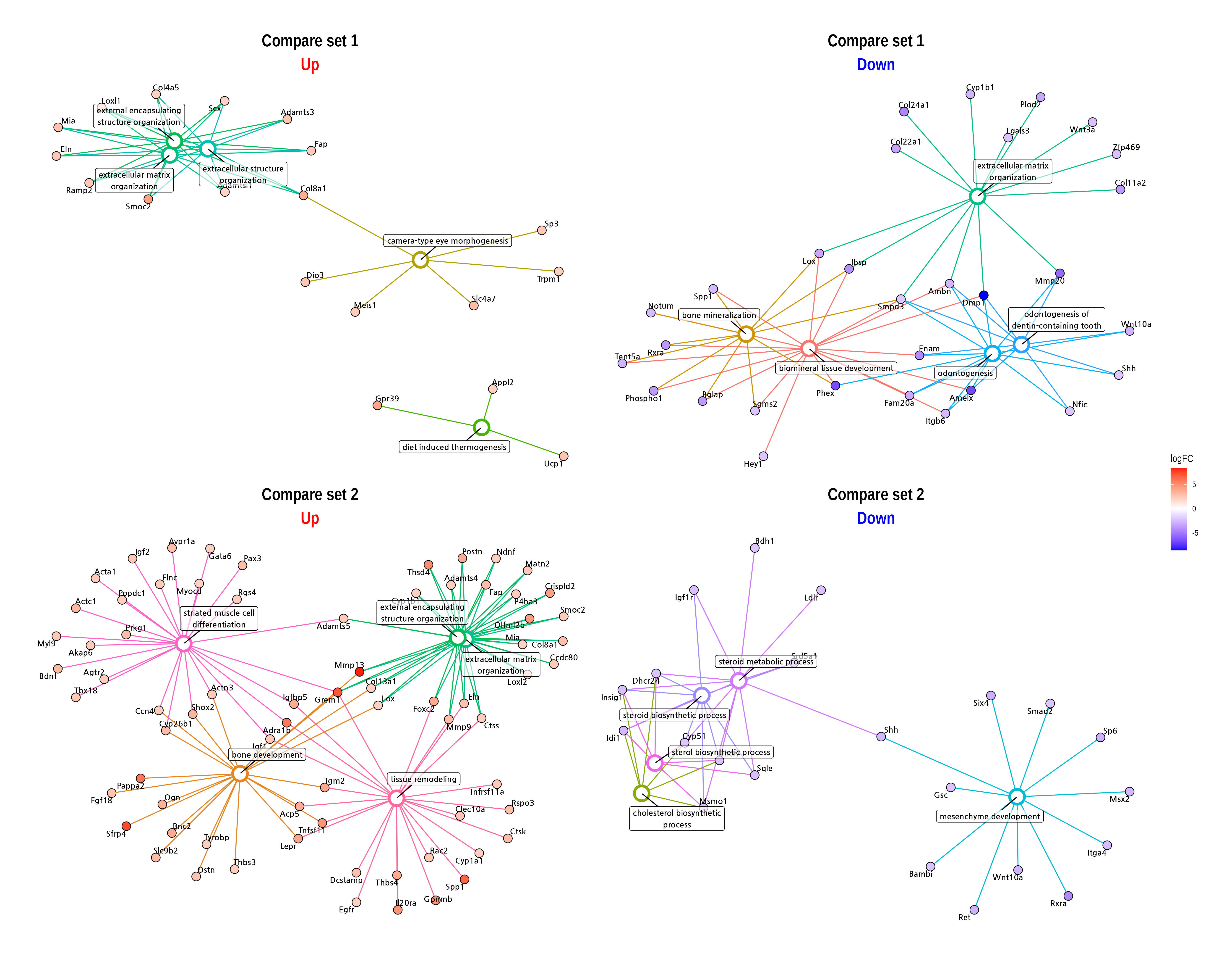 GO-gene network plot