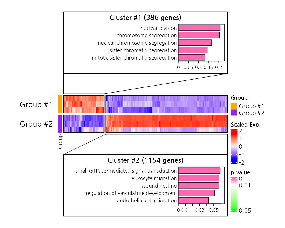 Bulk RNA-seq