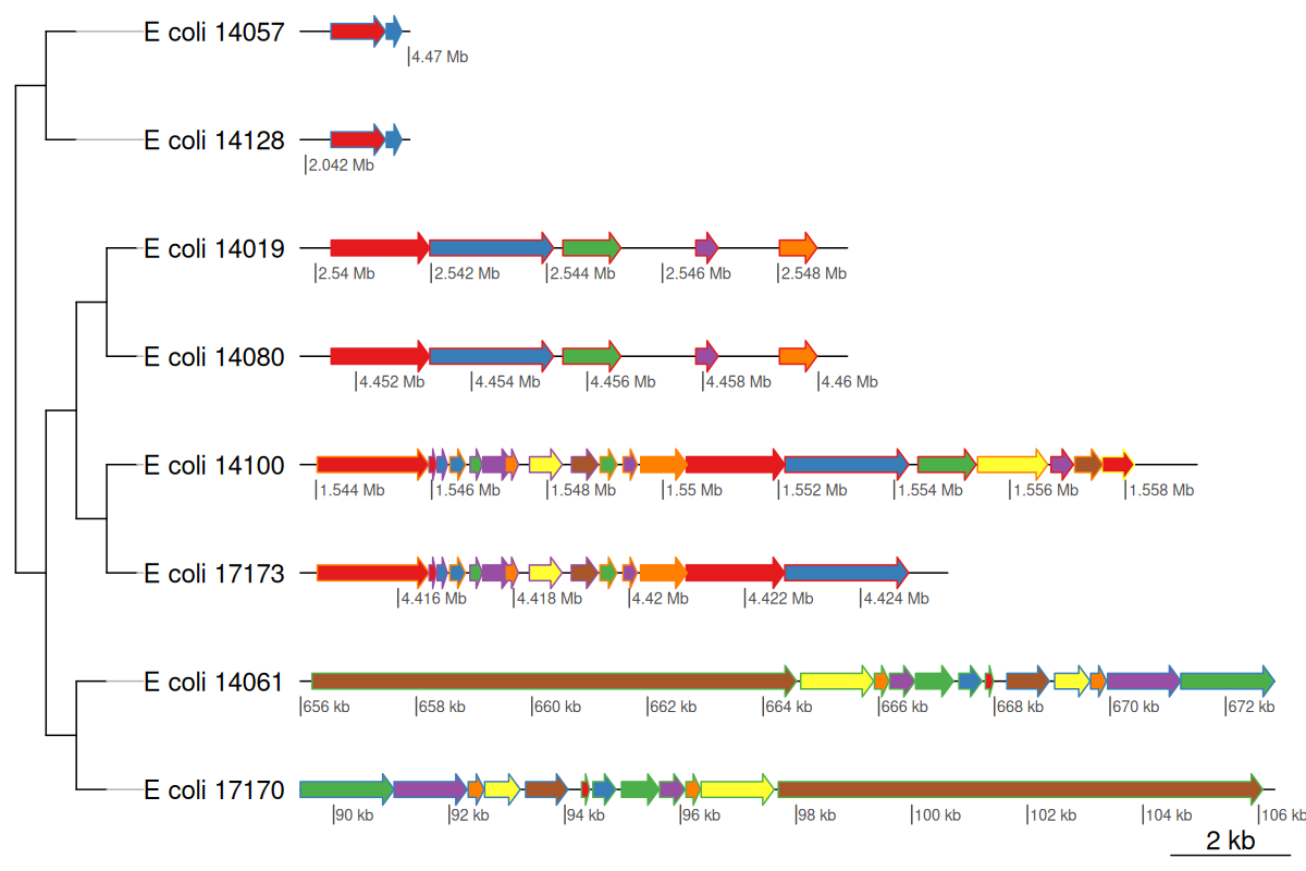 Comparative Genomics